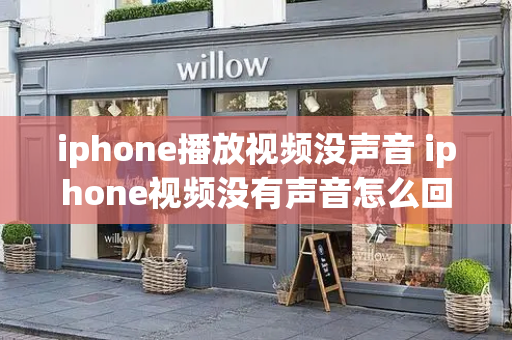 iphone播放视频没声音 iphone视频没有声音怎么回事-第1张图片-星选测评