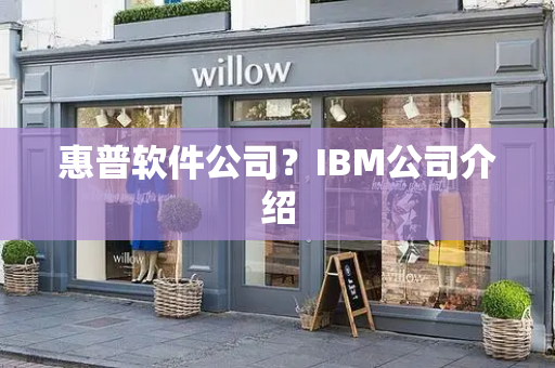 惠普软件公司？IBM公司介绍