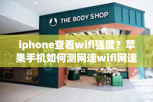 iphone查看wifi强度？苹果手机如何测网速wifi网速