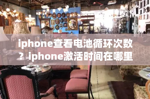 iphone查看电池循环次数？iphone激活时间在哪里看-第1张图片-星选测评