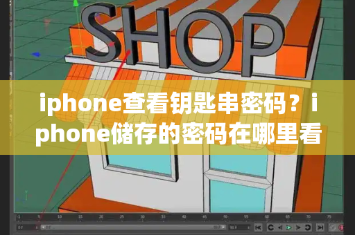 iphone查看钥匙串密码？iphone储存的密码在哪里看