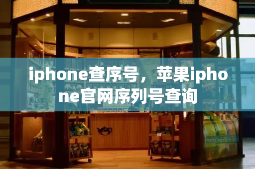 iphone查序号，苹果iphone官网序列号查询