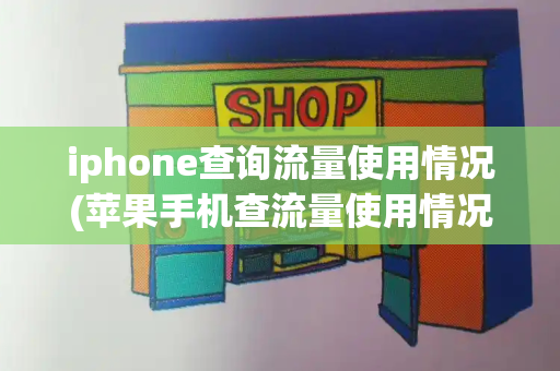 iphone查询流量使用情况(苹果手机查流量使用情况怎么查)