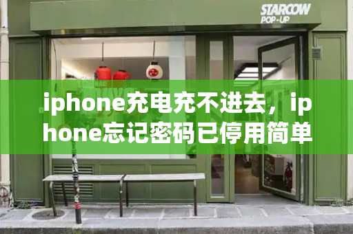 iphone充电充不进去，iphone忘记密码已停用简单恢复-第1张图片-星选测评