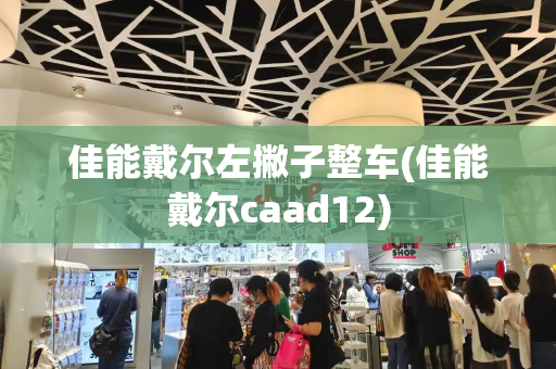 佳能戴尔左撇子整车(佳能戴尔caad12)