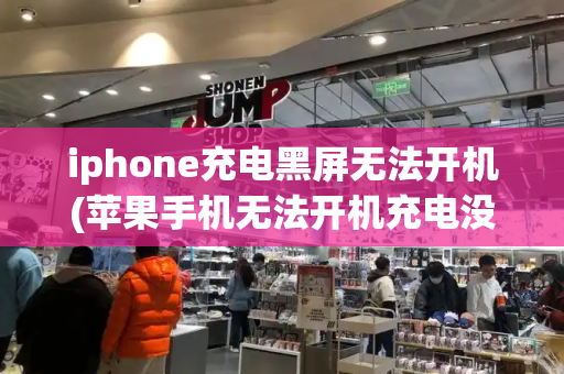 iphone充电黑屏无法开机(苹果手机无法开机充电没反应)-第1张图片-星选测评