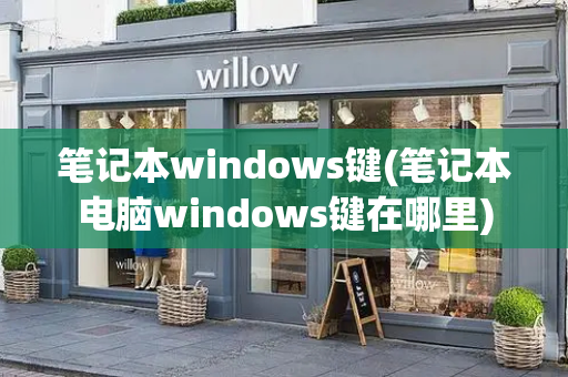 笔记本windows键(笔记本电脑windows键在哪里)-第1张图片-星选值得买