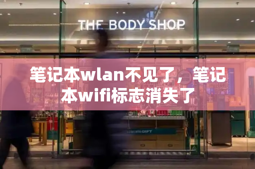 笔记本wlan不见了，笔记本wifi标志消失了-第1张图片-星选值得买