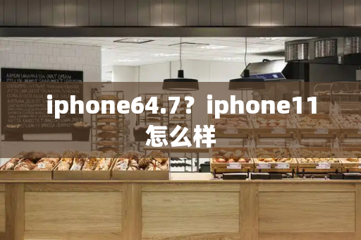 iphone64.7？iphone11怎么样-第1张图片-星选测评