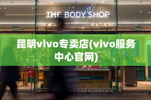 昆明vivo专卖店(vivo服务中心官网)-第1张图片-星选测评