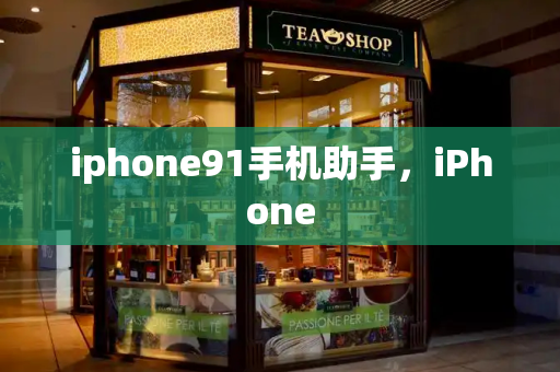 iphone91手机助手，iPhone-第1张图片-星选测评