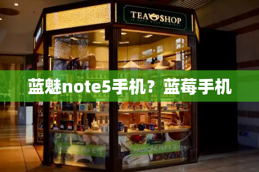 蓝魅note5手机？蓝莓手机