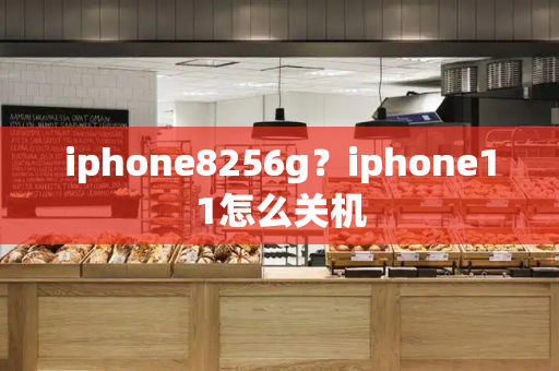 iphone8256g？iphone11怎么关机-第1张图片-星选测评