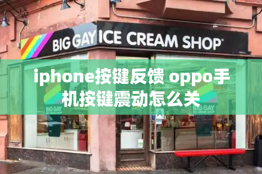 iphone按键反馈 oppo手机按键震动怎么关