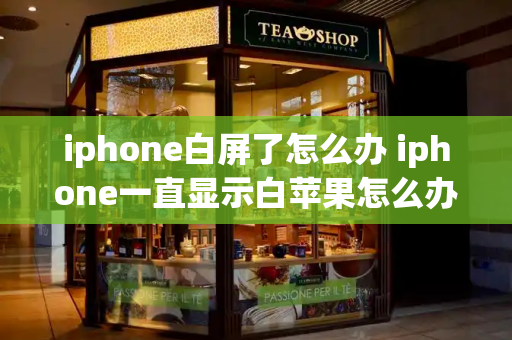 iphone白屏了怎么办 iphone一直显示白苹果怎么办-第1张图片-星选测评