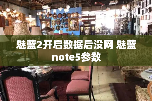 魅蓝2开启数据后没网 魅蓝note5参数