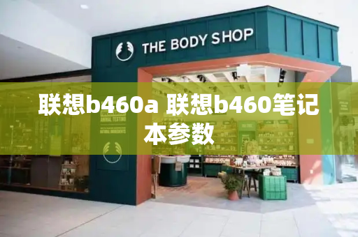 联想b460a 联想b460笔记本参数-第1张图片-星选测评