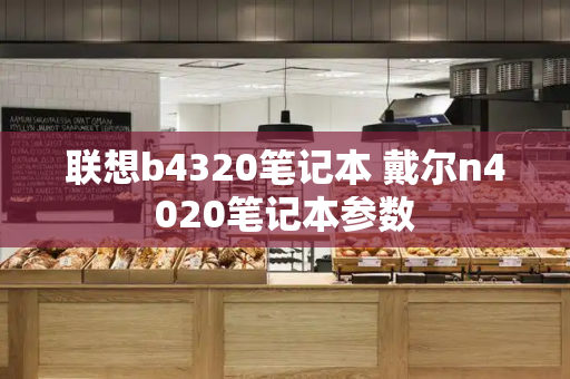 联想b4320笔记本 戴尔n4020笔记本参数-第1张图片-星选测评