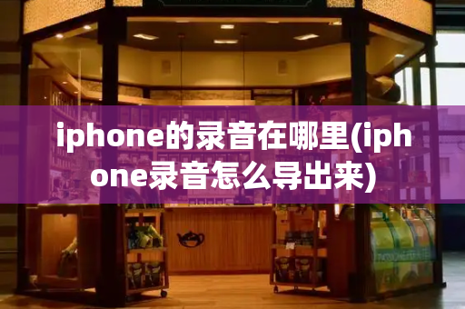 iphone的录音在哪里(iphone录音怎么导出来)-第1张图片-星选测评