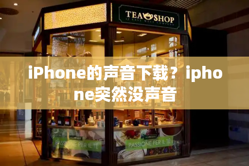 iPhone的声音下载？iphone突然没声音-第1张图片-星选测评