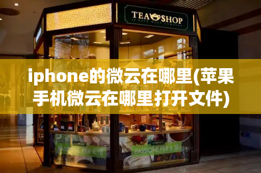 iphone的微云在哪里(苹果手机微云在哪里打开文件)-第1张图片-星选测评