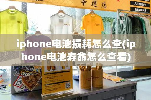 iphone电池损耗怎么查(iphone电池寿命怎么查看)