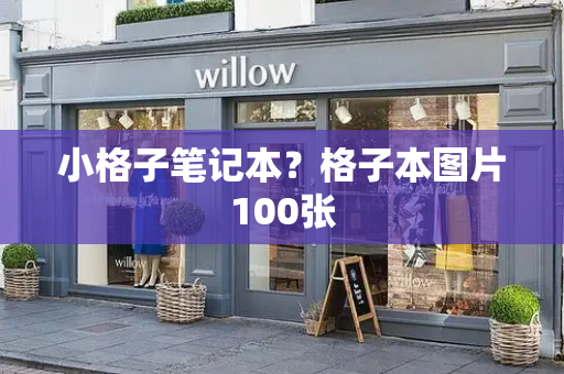 小格子笔记本？格子本图片100张