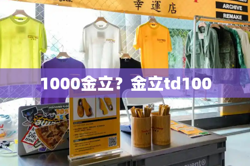 1000金立？金立td100-第1张图片-星选测评