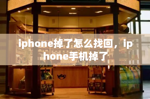 iphone掉了怎么找回，iphone手机掉了-第1张图片-星选测评