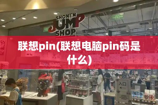 联想pin(联想电脑pin码是什么)