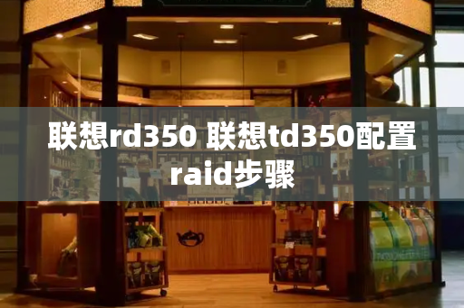 联想rd350 联想td350配置raid步骤-第1张图片-星选测评