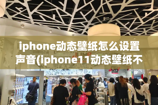 iphone动态壁纸怎么设置声音(iphone11动态壁纸不动)