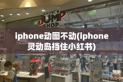 iphone动图不动(iphone灵动岛挡住小红书)