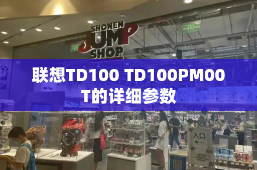 联想TD100 TD100PM00T的详细参数-第1张图片-星选测评