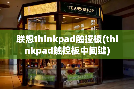 联想thinkpad触控板(thinkpad触控板中间键)-第1张图片-星选测评