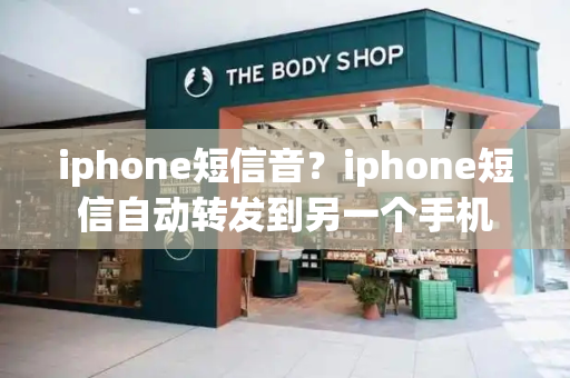 iphone短信音？iphone短信自动转发到另一个手机-第1张图片-星选测评