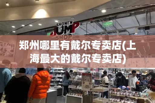 郑州哪里有戴尔专卖店(上海最大的戴尔专卖店)