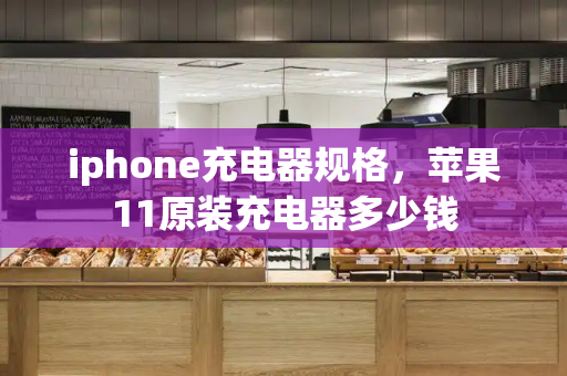 iphone充电器规格，苹果11原装充电器多少钱-第1张图片-星选测评