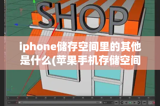 iphone储存空间里的其他是什么(苹果手机存储空间其他怎么删除)-第1张图片-星选测评