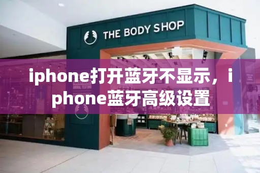 iphone打开蓝牙不显示，iphone蓝牙高级设置-第1张图片-星选测评