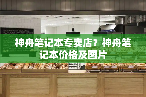 神舟笔记本专卖店？神舟笔记本价格及图片