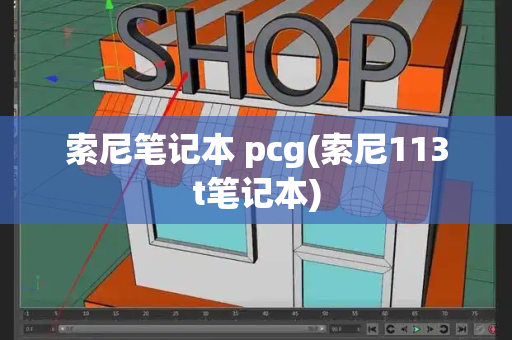 索尼笔记本 pcg(索尼113t笔记本)