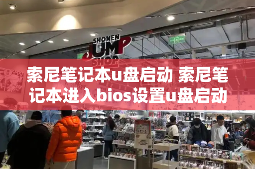 索尼笔记本u盘启动 索尼笔记本进入bios设置u盘启动方法-第1张图片-星选值得买