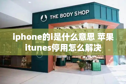 iphone的i是什么意思 苹果itunes停用怎么解决