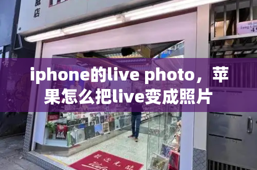 iphone的live photo，苹果怎么把live变成照片-第1张图片-星选测评