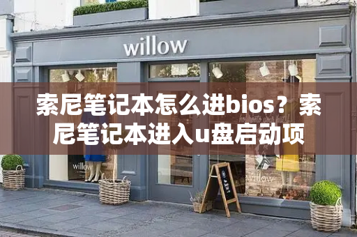 索尼笔记本怎么进bios？索尼笔记本进入u盘启动项