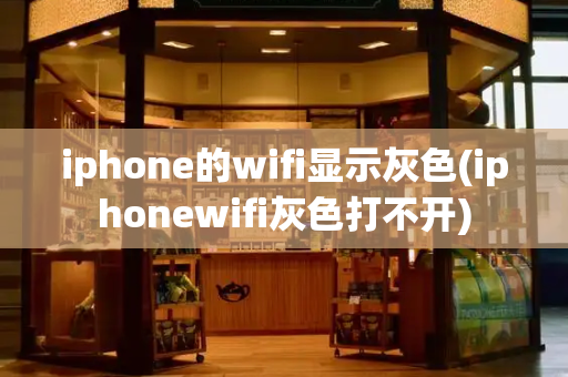 iphone的wifi显示灰色(iphonewifi灰色打不开)-第1张图片-星选测评