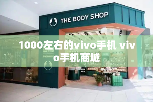 1000左右的vivo手机 vivo手机商城-第1张图片-星选测评