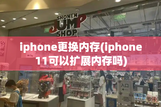 iphone更换内存(iphone11可以扩展内存吗)-第1张图片-星选测评