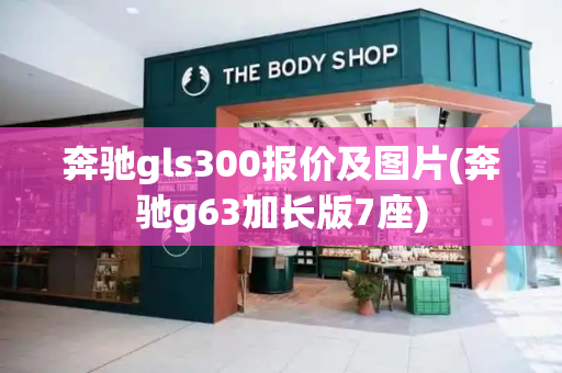 奔驰gls300报价及图片(奔驰g63加长版7座)